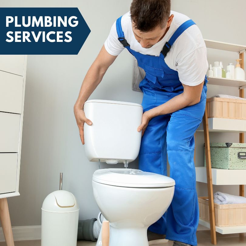 Plumbing Company in Dameron, MD